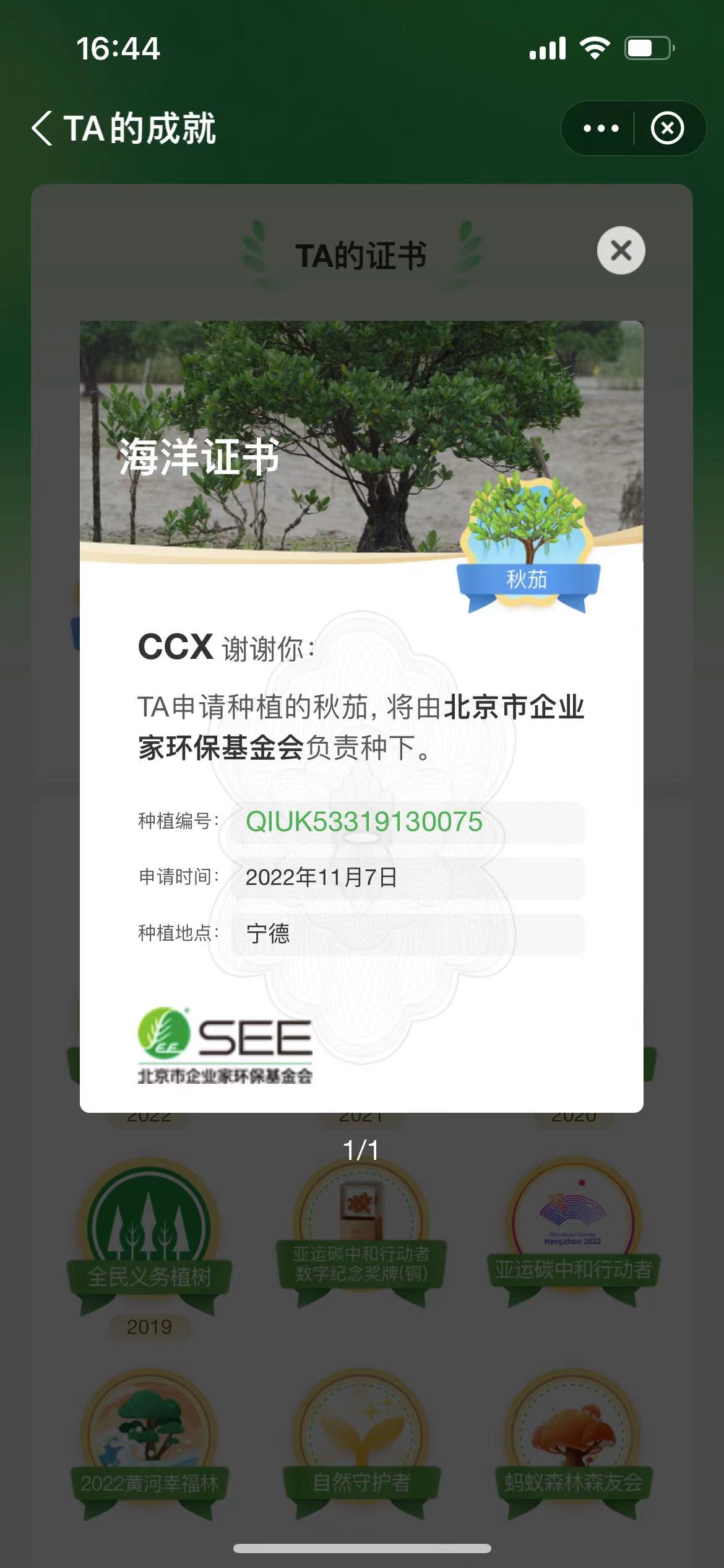 蚂蚁森林秋茄.jpg