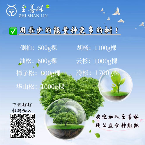 蚂蚁森林合种 (13).jpg